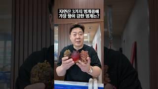 자연산 멍게중 바다향이 가장 강한 멍게는?