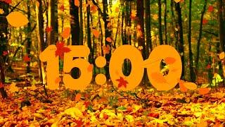 15 Minute Beautiful Fall Leaves Countdown | 