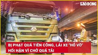 Bị phạt quá tiền công, lái xe "hổ vồ" hối hận vì chở quá tải | Báo Lao Động