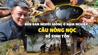 Lên bản Mông ở Nậm Nghiệp - Sơn La | Câu nòng nọc để sinh tồn trong rừng