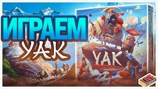 Играем в настольную игру Yak