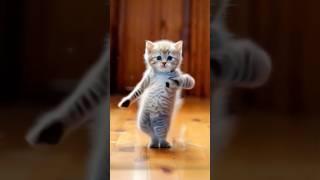 Teng Tenge Cat dance #shorts #ai #cute #cat #viralcat #tenge #trendingshorts  @WORLDTECHWINDOW