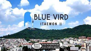 이태원 BLUE VIRD 3차 (용산의 미래와 함께할 극강의 소형주택)