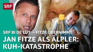 Jan Fitze, als Älpler, ringt mit den Kühen in «Z'Alp» | Fitze übernimmt S2 2/4 – SRF bi de Lüt | SRF