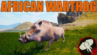 The BRUTAL Life of a Warthog | Animalia Survival