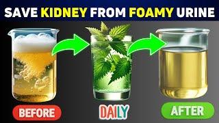 Top 10 Super Drinks to stop Proteinuria quickly and Heal Kidney Fast