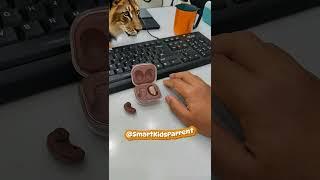 These lions are small in size #shortsviral #shorts #strangethings #ai #funnyvideo #shortsvideo2025