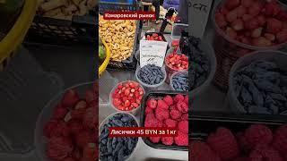 Леса Беларуси завалены грибами, а на рынках лисички по 15 USD  #беларусь #грибы #грибники #лисички