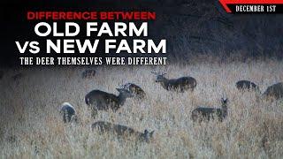 Differences Between my Old Farm and my New Farm | Bowhunting Whitetails w/ Bill Winke