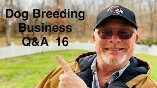 Dog Breeding Business Q&A 16 How To DIY