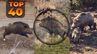 GIANT BOAR INVASION: 40 Incredible Hunts In 15 Minutes! (TOP RIFLE SHOTS) #hunting #wildlife