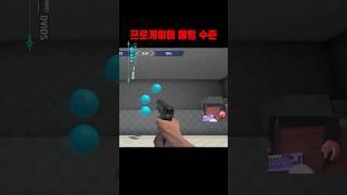 FPS 프로게이머 자석 에임 수준 ㄷㄷ