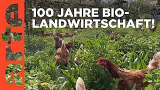 Die Bio-Revolution - Die Karriere der ökologischen Landwirtschaft | Doku HD |  ARTE