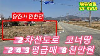 면천IC 3분 거리! 저수지 조망에 2차선 도로접까지?! 귀농·투자 모두 OK! 알짜 소형토지 전격 공개!