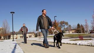 The Lighthouse for the Blind, Inc. - 2024