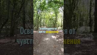 Раздражение - освобождаемся от него с помощью энергомедитации целителя