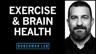 How to Use Exercise to Improve Your Brain’s Health, Longevity & Performance