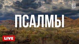  Библия онлайн: Книга Псалмов | Современный перевод 24/7