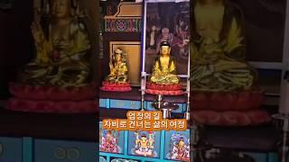업장의 길, 부처님의 자비로 건너는 삶의 여정 #소원이이루어지는곳