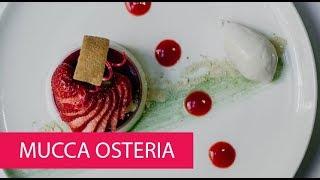 MUCCA OSTERIA - USA, PORTLAND