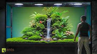 Building My Next Giant Ecosystem Vivarium III: The Next Chapter