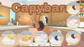 Capybara Pet Guide. Combined Capybara List, How to Ride | Play Together