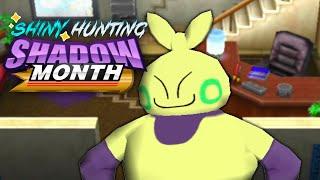 Shiny Hunting SHADOW MAKUHITA | Pokemon COLOSSEUM | Shadow Month 2024 | 4x Shiny Hunting 2% CHIMECHO