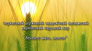 Українська пісня "Зеленеє жито, зелене". Виконує черкаський народний хор.