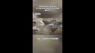 The Ordovician-Silurian Extinction: Earth's First Mass Extinction Event