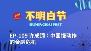 【Bay Area BumingbaiFest】Xu Chenggang: China's Financial Crisis in Slow-Motion