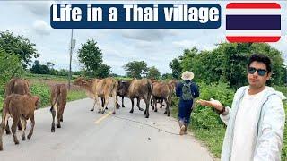 Living in Thailand: How is it live to live or retire in an Issan village in Thailand?