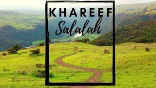 Salalah Tour||Oman||Salalah Khareef Season||Places to Visit