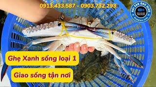 Ghẹ Xanh Sống Loại 1 Size 3 - 5 Con/Kg Giao Sống Tận Nơi | Hải Sản Ông Giàu