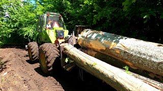 Orvex LT 100   Ťažba dreva Working in forest 