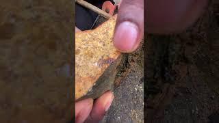 Breaking Open a Stone — Found a Red Gem Inside! What Could It Be?