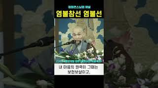 염불참선 염불선 #청화스님