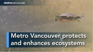 Nature and Environment - Metro Vancouver