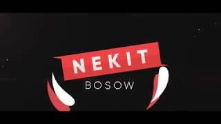 #11 INTRO PARA Nekit Bosow (2d)