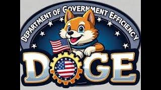 What Can the 'DOGE' Really do in Washington?