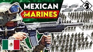 Mexican Marine Rifle Squad Weapons: Bizarro USMC?