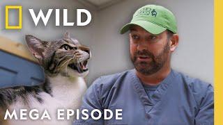 Heartland Docs, DVM | MEGA EPISODE | Nat Geo Animals