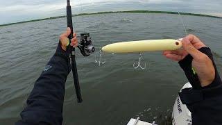 Spring Back Bay Fishing - Throwing Big Plugs For Striped Bass