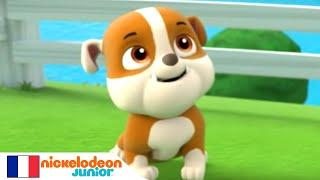 Paw Patrol : la Pat' Patrouille | Ruben est coincé dans l'arbre | NICKELODEON JUNIOR