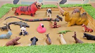 Can You Save the Wild & Forest Animals from the Muddy Trap?