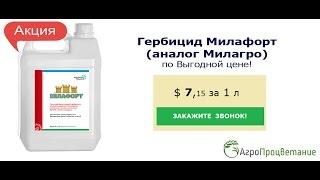 Купить Гербицид Милафорт Оптом. Аналог Милагро. Низкая Цена!