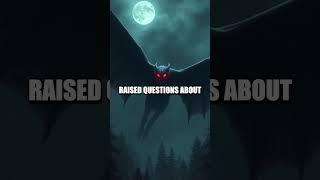 The Enigmatic Mothman Sightings