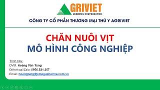 AGRIVIET số 8: Nuôi vịt thịt công nghiệp