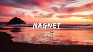 GOBTA D - Magnet