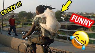 Crazy Funniest Videos Ever In The World | Try Not To Laugh Challenge | Laugh Till You Cry (Vol 20)