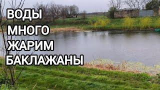 ВОДЫ МНОГО//ЖАРИМ БАКЛАЖАНЫ// ПОЧЕМ ЖЕЛЕЗО? //